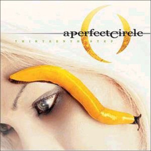 Perfect Circle - Thirteenth Step