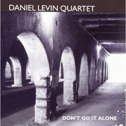 Daniel Levin - Don't Go It Alone