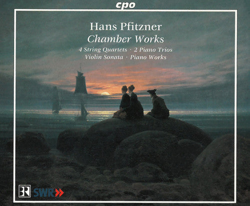 Pfitzner/ Geringas/ Berger/ Bmg/ Albert - Chamber Works