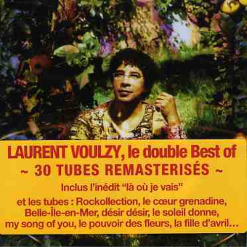 Laurent Voulzy - Saisons Best of