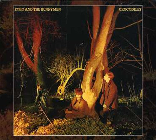 Echo & the Bunnymen - Crocodiles