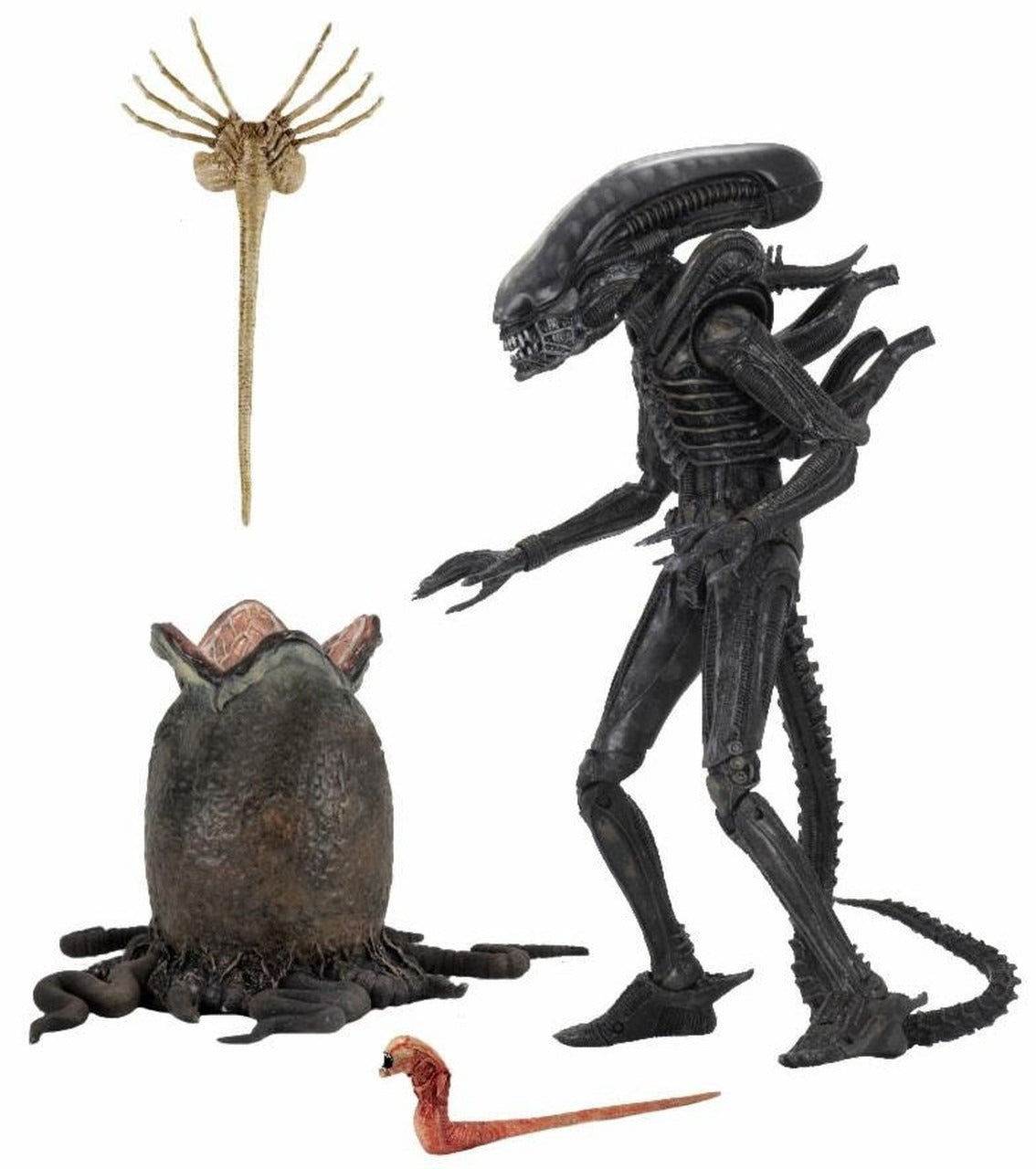 NECA Big Chap Alien Xenomorph Action Figure [Ultimate 40th Anniversary]