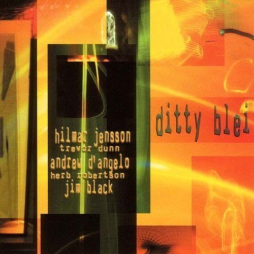 Hilmar Jensson - Ditty Blei