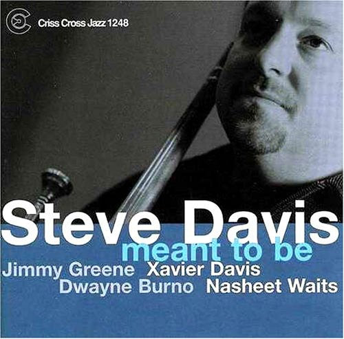 Steve Davis - Meant to Be
