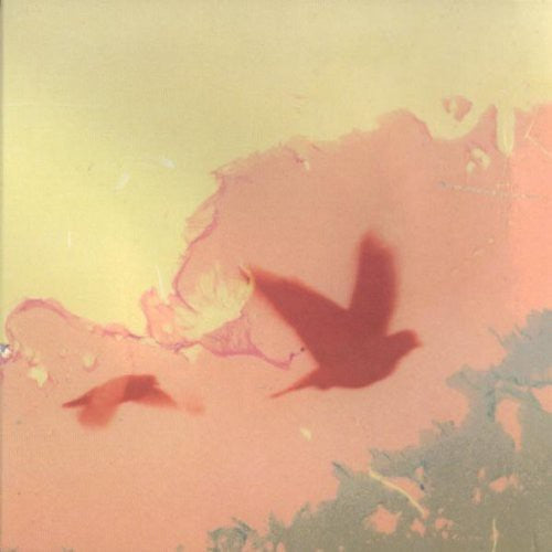 Thomas & Sampson - When the Lower Resembles the Higher