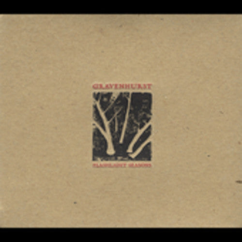 Gravenhurst - Flashlight Seasons