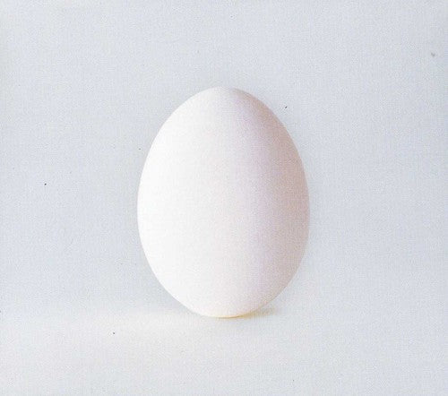 Wilco - A Ghost Is Born