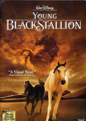 The Young Black Stallion