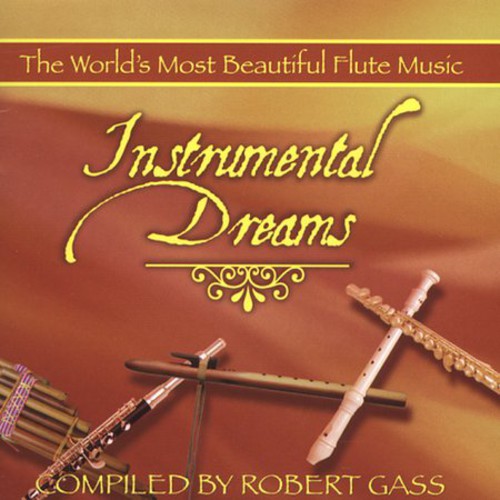 Instrumental Dreams