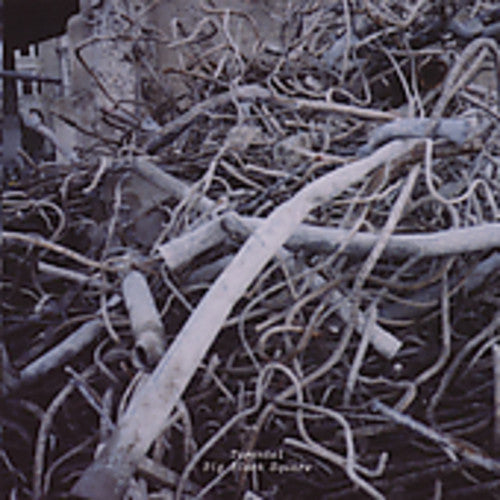 Tarentel - Big Black Square