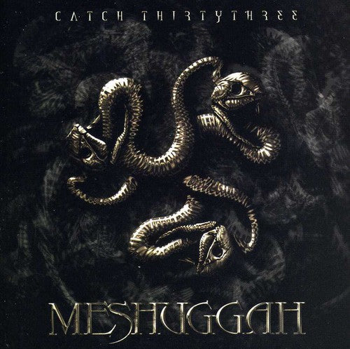 Meshuggah - Catch Thirty Three
