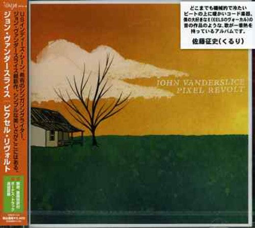 John Vanderslice - Pixel Revolt
