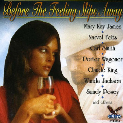 Various Artists - Country's Best: Before the Feeling Slips Away / Various