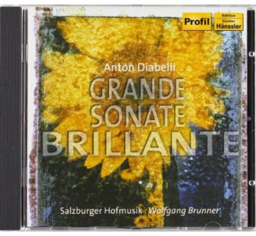 Diabelli/ Brunner/ Salzburger Hofmusik - Grand Sonata Brillante