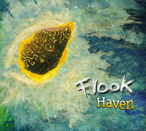 Flook - Haven