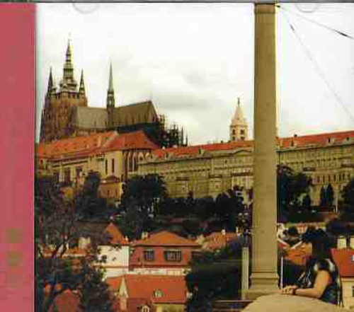 Hikaru Utada - Be My Last