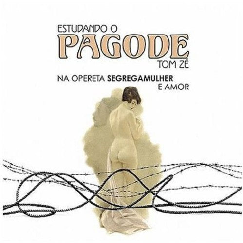 Tom Zé - Estudando O Pagode