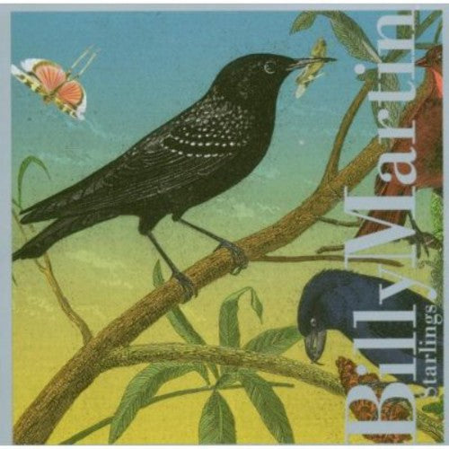 Martin/ Coleman/ Choi/ Jaffe/ Lee/ Dunn - Starlings