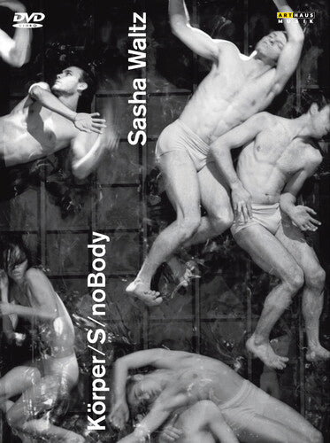 Korper / S / Nobody