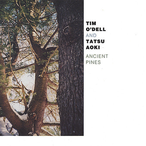 O'Dell/ Aoki - Ancient Pines