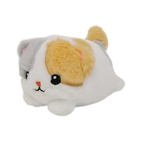 Warm Pal-bby Kitten
