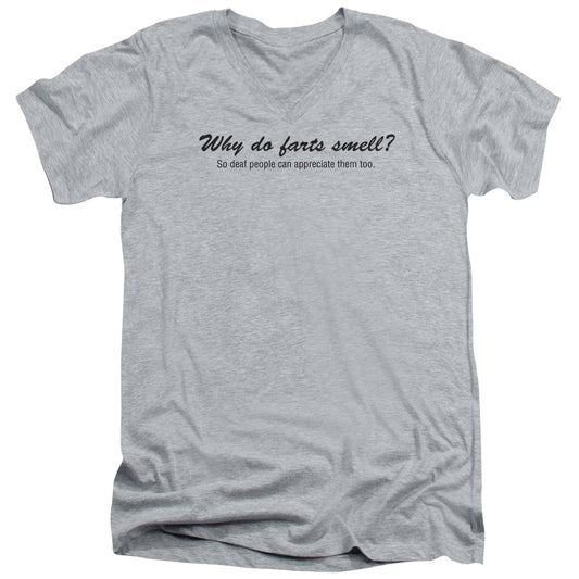 WHY DO FARTS SMELL -   ADULT V-NECK - T-Shirt