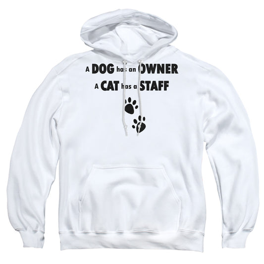 Cat Has A Staff - Adult Pull-over Hoodie - White