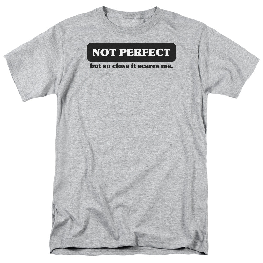 Not Perfect - Short Sleeve Adult 18 - 1 - Athletic Heather T-shirt