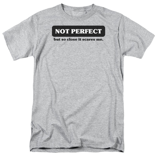 Not Perfect - Short Sleeve Adult 18 - 1 - Athletic Heather T-shirt