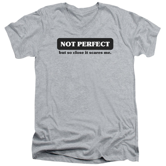Not Perfect - Short Sleeve Adult V-neck 30 - 1 - Athletic Heather T-shirt