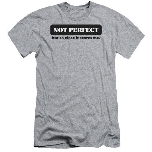 Not Perfect - Short Sleeve Adult 30 - 1 - Athletic Heather T-shirt