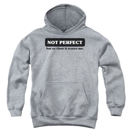 Not Perfect - Youth Pull-over Hoodie - Heather