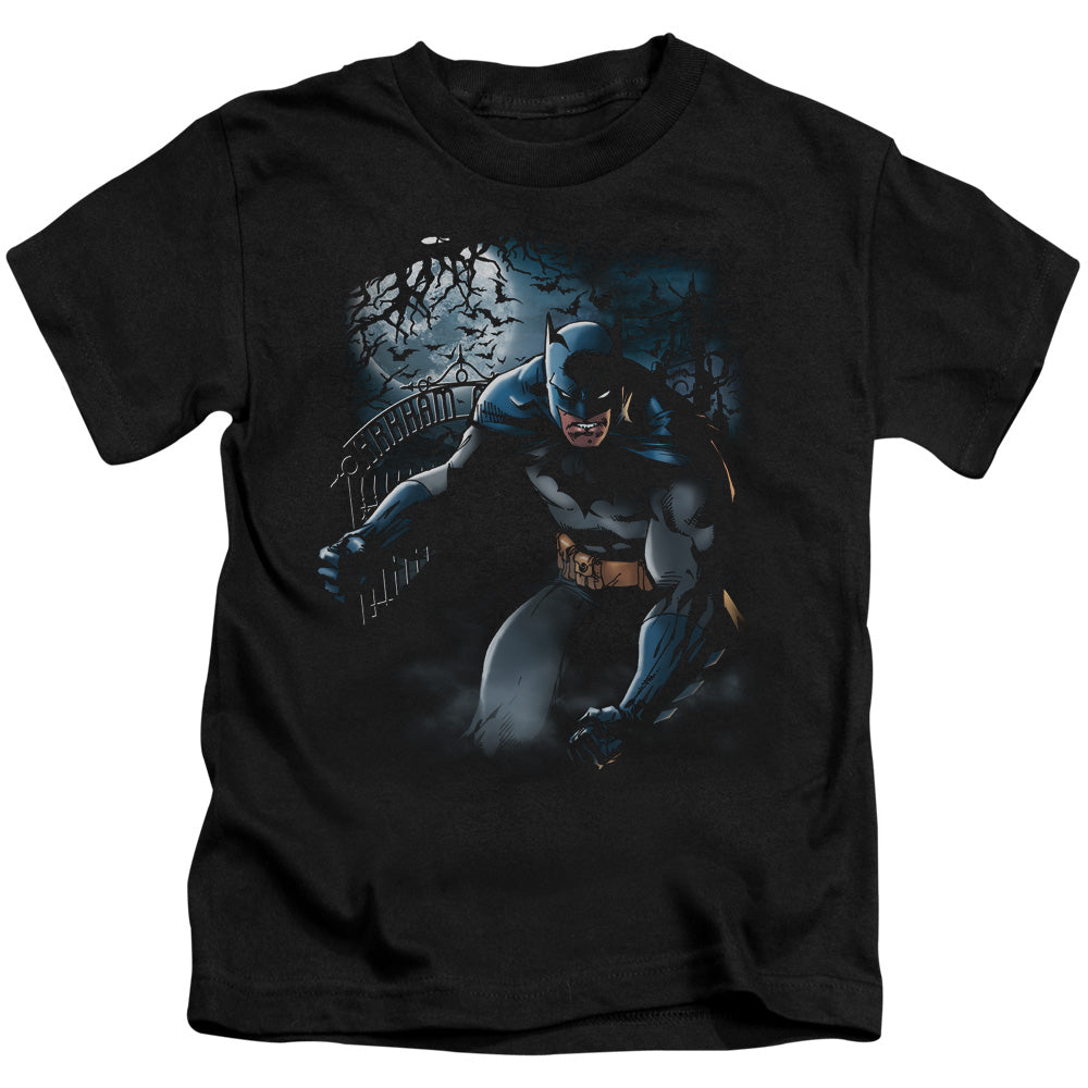 BATMAN LIGHT OF THE MOON-S/S T-Shirt