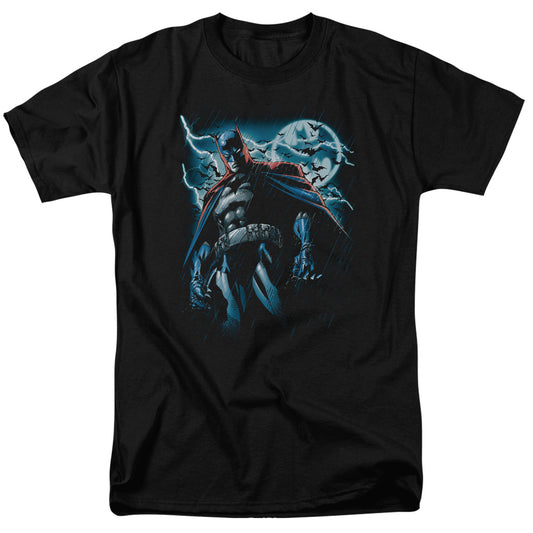 Batman - Stormy Knight - Short Sleeve Adult 18/1 - Black T-shirt
