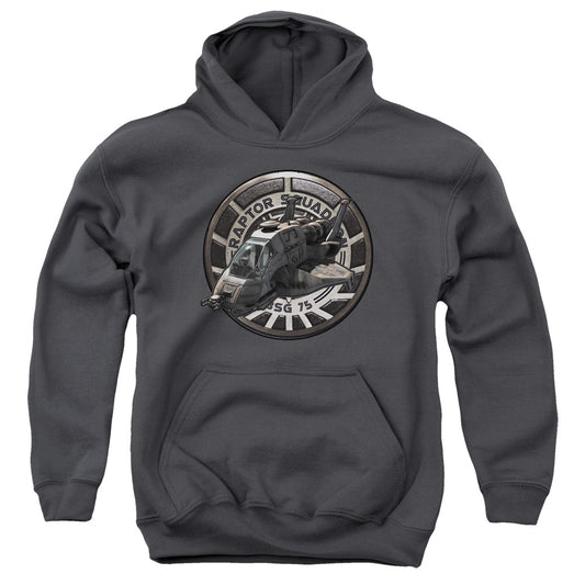 Bsg Raptor Squadron-youth Pull-over Hoodie - Charcoal