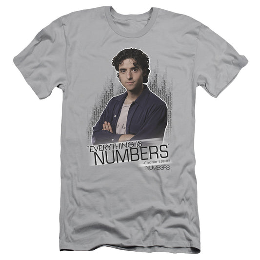 Numbers - Everything Is Numbers - Short Sleeve Adult 30/1 - Silver T-shirt
