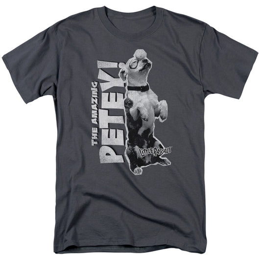 Little Rascals - Amazing Petey - Short Sleeve Adult 18/1 - Charcoal T-shirt