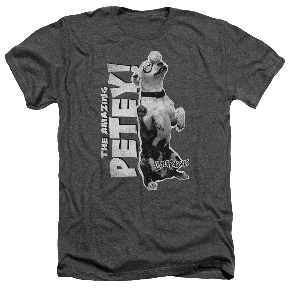 Little Rascals - Amazing Petey - Adult Heather - Charcoal