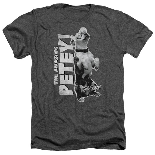Little Rascals - Amazing Petey - Adult Heather - Charcoal