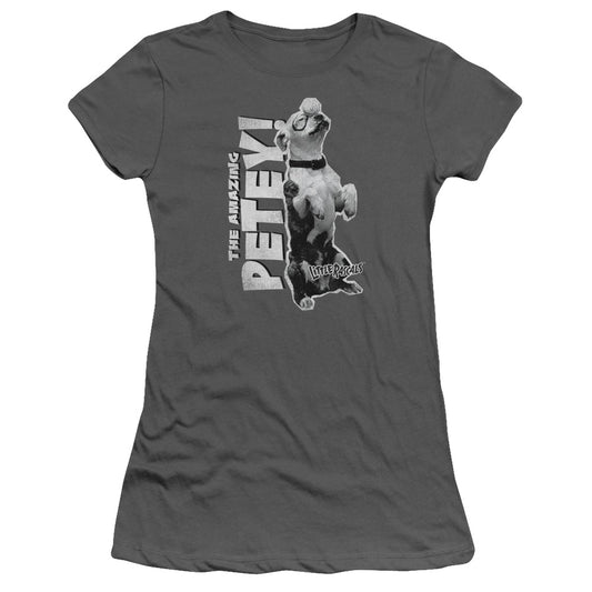 Little Rascals - Amazing Petey - Short Sleeve Junior Sheer - Charcoal T-shirt