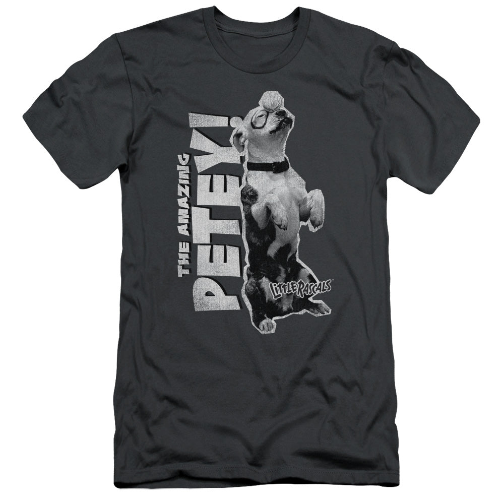 Little Rascals - Amazing Petey - Short Sleeve Adult 30/1 - Charcoal T-shirt