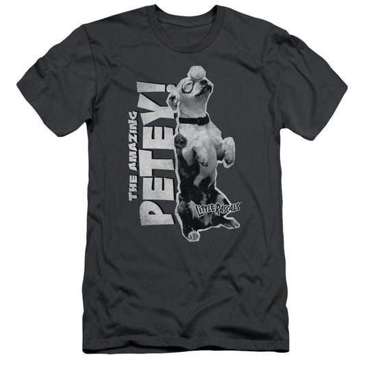Little Rascals - Amazing Petey - Short Sleeve Adult 30/1 - Charcoal T-shirt