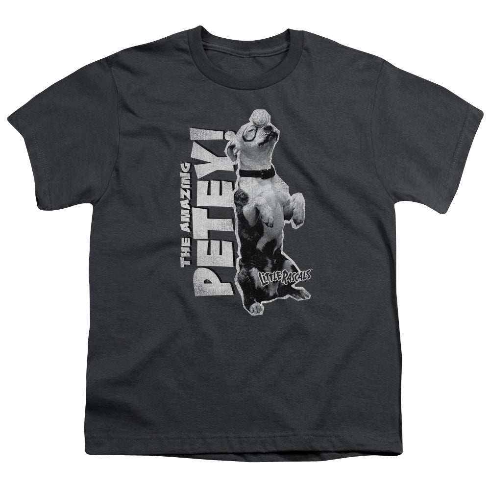Little Rascals - Amazing Petey - Short Sleeve Youth 18/1 - Charcoal T-shirt