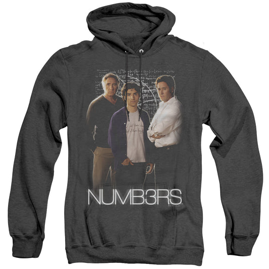 Numbers - Equations - Adult Heather Hoodie - Black