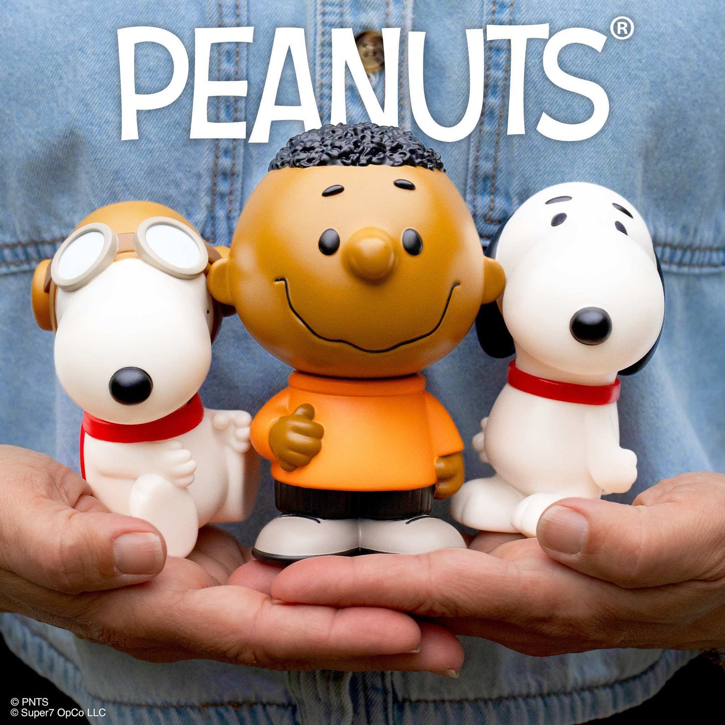Peanuts FUN! FUN! Wave 02 - Franklin