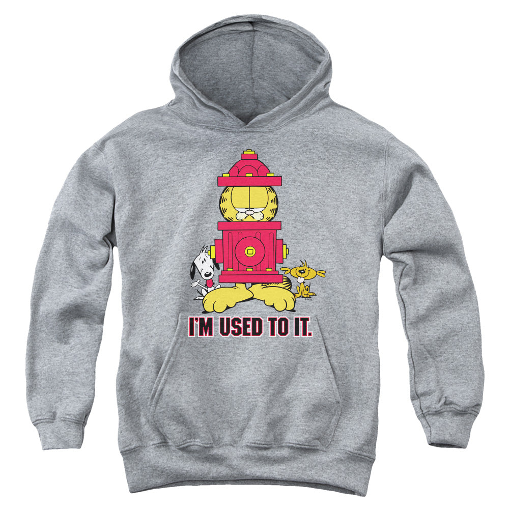 Garfield - Im Used To It - Youth Pull-over Hoodie - Heather