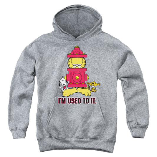 Garfield - Im Used To It - Youth Pull-over Hoodie - Heather