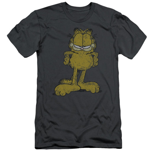 Garfield - Big Ol Cat - Short Sleeve Adult 30/1 - Charcoal T-shirt