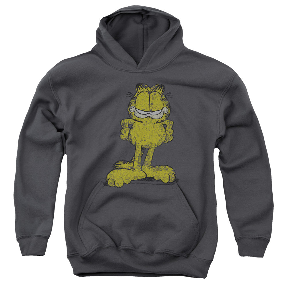 Garfield - Big Ol" Cat - Youth Pull-over Hoodie - Charcoal