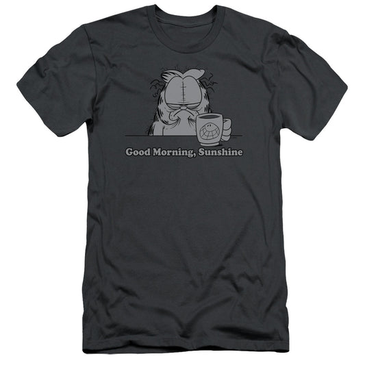 Garfield - Good Morning Sunshine - Short Sleeve Adult 30/1 - Charcoal T-shirt